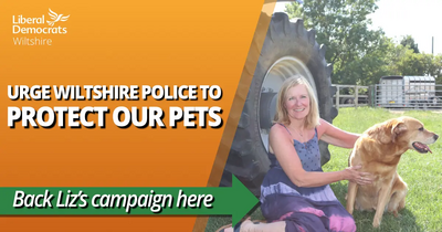 Liz Webster - LD Police and Crime Commissioner Choice