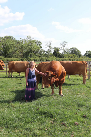 Liz Webster with Cows in Field