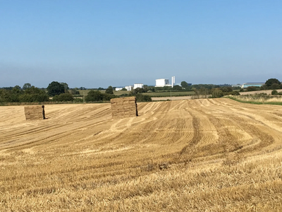 Harvest