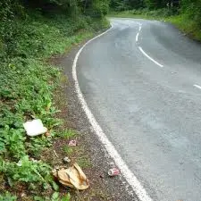 Roadside Litter