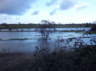 Image courtesy of TC flood13214
